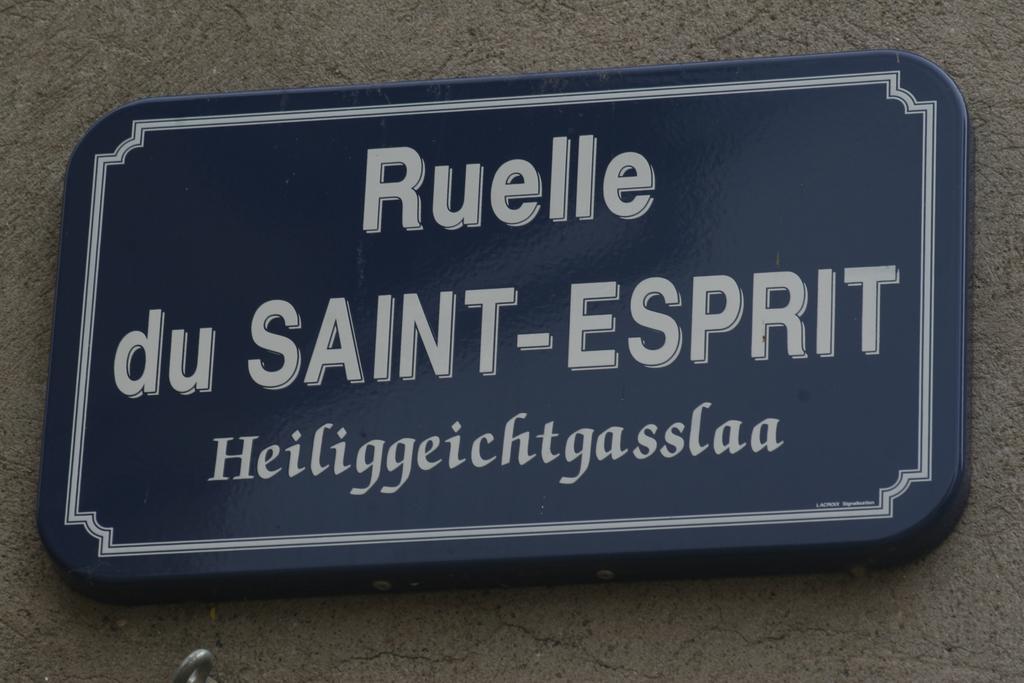 Gite Duplex Du Vignoble Alsace Rouffach Bagian luar foto