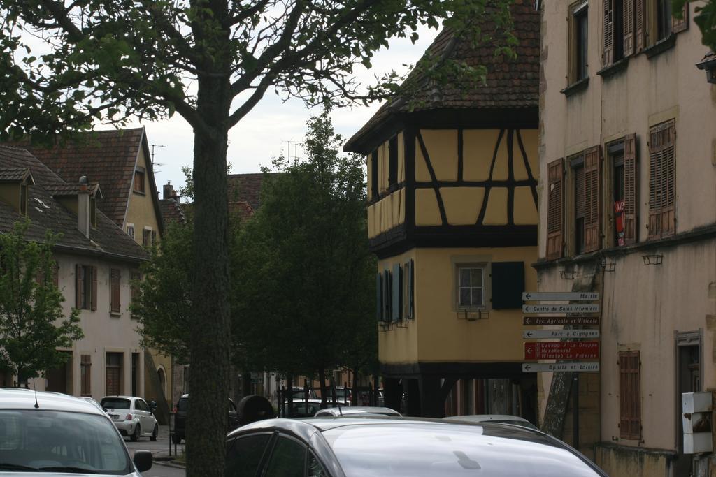 Gite Duplex Du Vignoble Alsace Rouffach Bagian luar foto